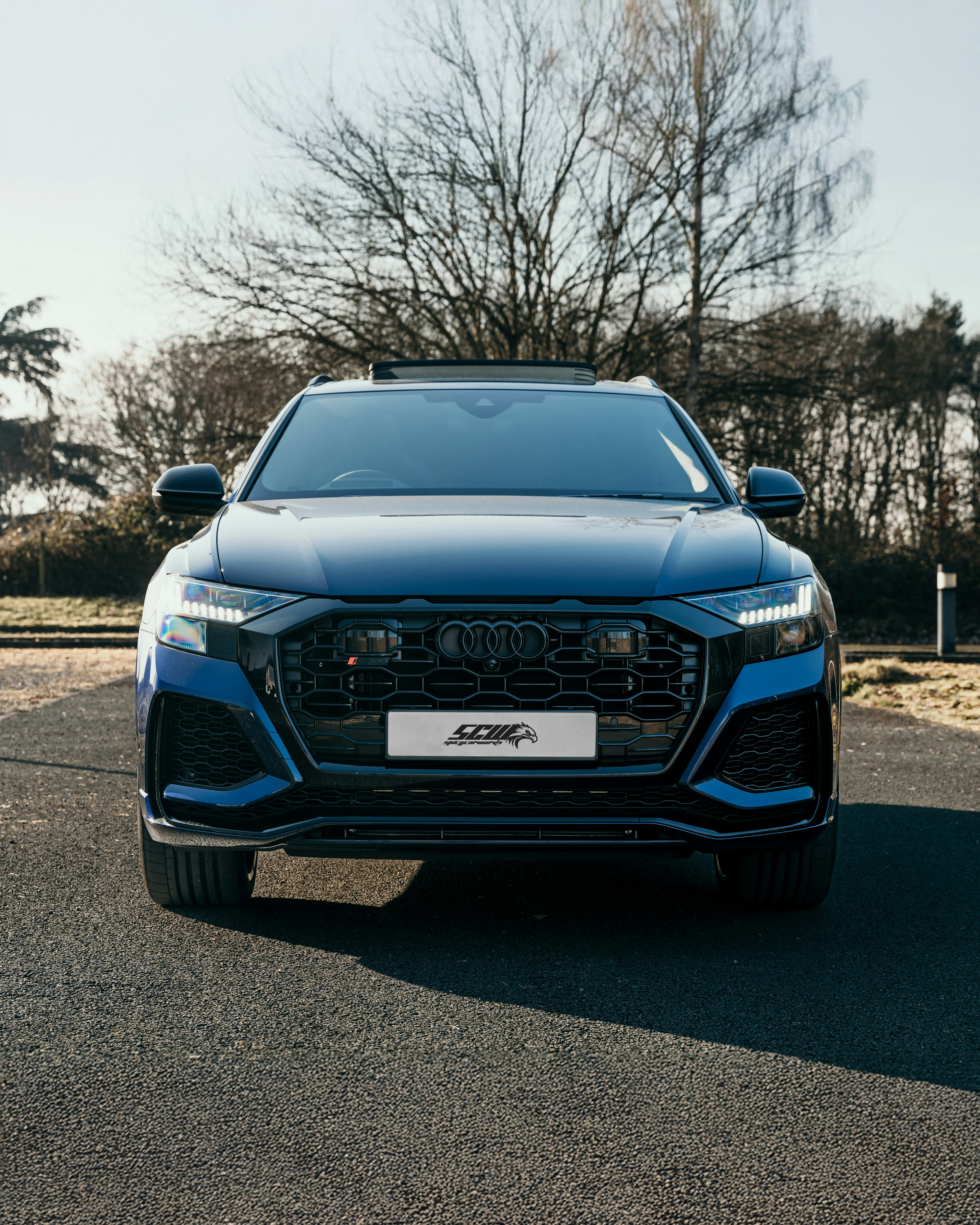 Audi RSQ8 (ab 2019) 600/640PS Custom ECU Tune